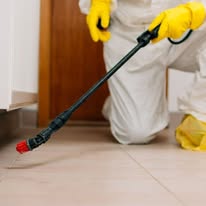 Pest control spraying along a floor baseboard