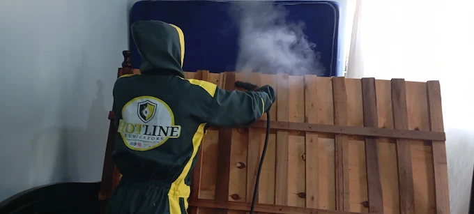 Hotline Fumigators technician steam-treating a headboard during a pest control inspection